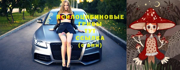 сатива Балабаново