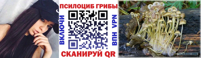 blacksprut как зайти  Калуга  Псилоцибиновые грибы мицелий 